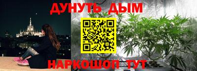 скорость Гатчина