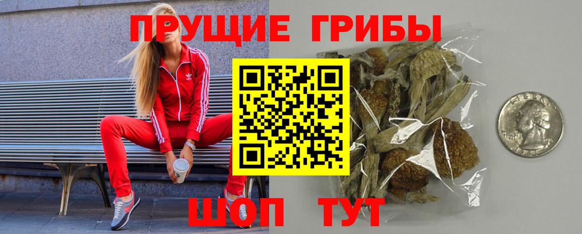 Псилоцибиновые грибы Psilocybe Магадан